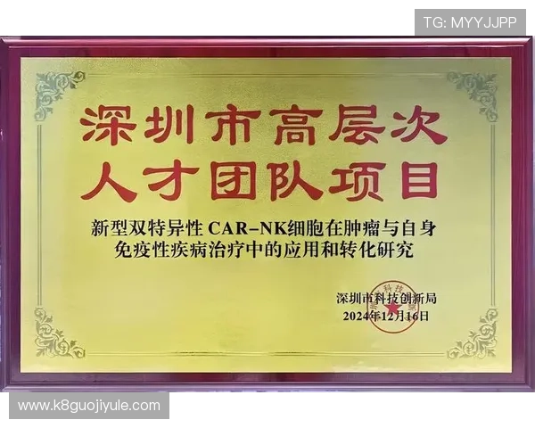 凯发k8国际首页网页版新手入门指南帮助新玩家快速熟悉平台操作流程